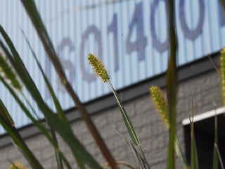 暦の上では・・・・・
