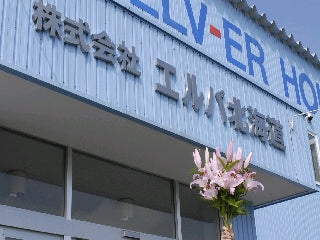 本日は晴天なり・・・・