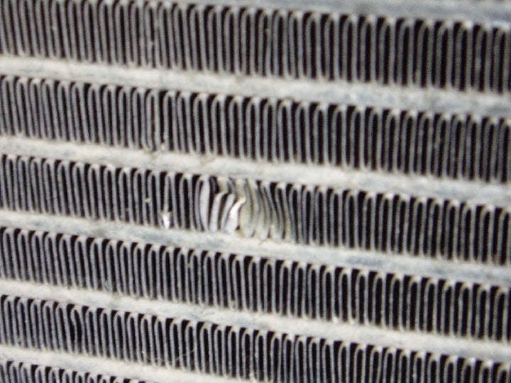 フィン折れ部分