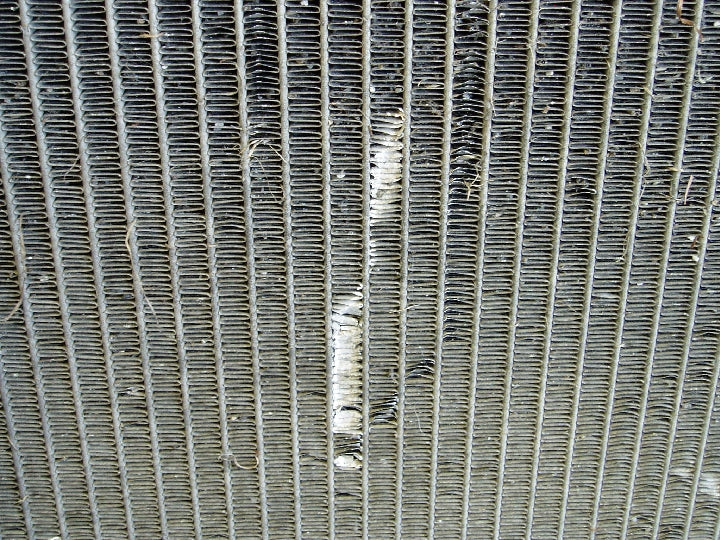 フィン折れ有ります