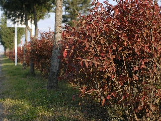 日中は暖かいですが・・・・