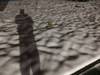 さぁ・・・