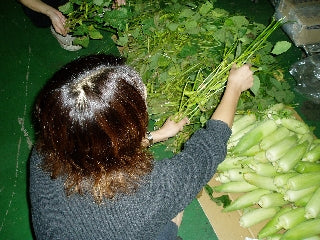 食欲の秋・・・
