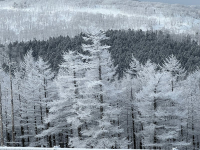 そりゃね・・・