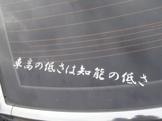 ドキッ・・・