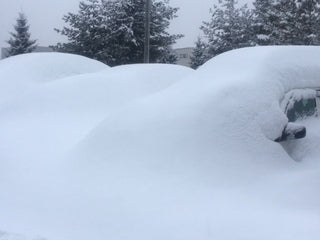 春まだ遠し・・・